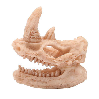 

Dinosaur Skull Resin Sculpture Statue Skeleton Model Fish Tank Ornaments
