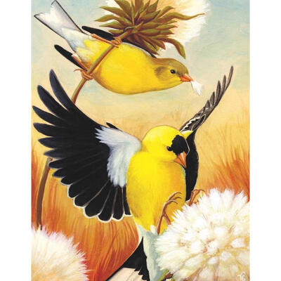 

5D DIY Full Drill Diamond Painting Flying Bird Cross Stitch Embroidery Kits