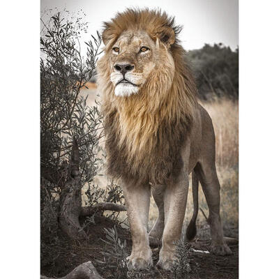 

5D DIY Full Drill Diamond Painting Lion Desert Cross Stitch Embroidery Kits