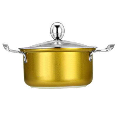 

16cm Stainless Steel Mini Soup Induction Cooker Universal Pot with 2 Handle