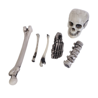 

6PCS Plastic Realistic Skeleton Bones Skull For Best Halloween Party Haunted House Decoration And Spookiest Graveyard Scene