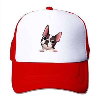 

akowei Boston Terrier Adjustable Printing Snapback Mesh Hat Unisex Adult Baseball Mesh Cap