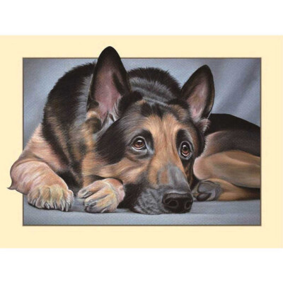 

Toponeto Embroidery Paintings Rhinestone Pasted DIY Diamond Painting Cross Stitch