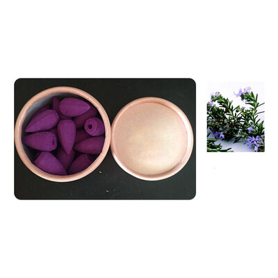 

Siaonvr 25pcs Smoke Tower Cones Bullet Backflow Incense Hollow Cone
