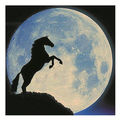 

Waterproof Sphere Horse Fluorescent Luminous Wall Stickers Kids Room Decor