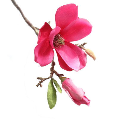 

Gobestart Artificial Fake Flowers Leaf Magnolia Floral Wedding Bouquet Party Home Decor