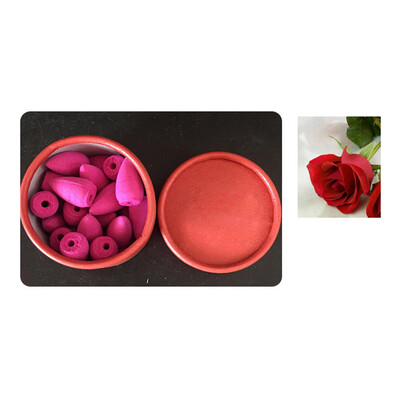 

Siaonvr 25pcs Smoke Tower Cones Bullet Backflow Incense Hollow Cone