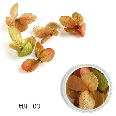 

Toponeto Nail Ornament Dry Flower Color Petals Ziyang Flower Nail Dry Nail DIY Decoration