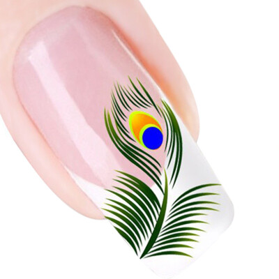 

〖Follure〗5pcs Peacock Feather Design Nail Tip Art Water Transfers Decal Sticker