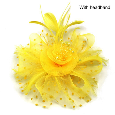 

Bridal Net Feather Hats Birdcage Net Wedding Headband Hats Bridal Fascinator Face Party Wedding Hair Accessories