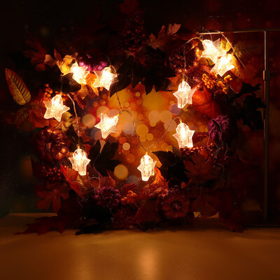 

〖Follure〗Star LED Photo Clips 10 LED USB With Remote Control Light Strin