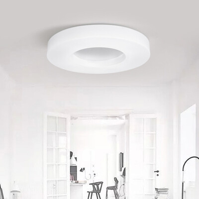 

Jueja LED Ceiling Lights for Living Room Bedroom Indoor Lamp Acrylic Lampshade 8W 220V