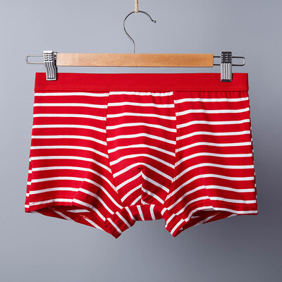 

Mens Boy Breathable Underwear Boxer Briefs Shorts Bulge Pouch Underpants XL3XL
