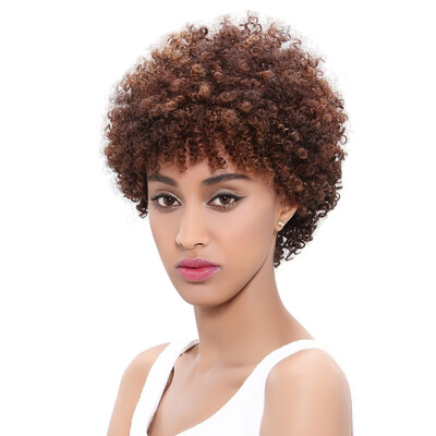 

Noble Human Hair Wig Brazilian Afro Kinky Curly Wigs For Black Women Non Lace Front Human Hair Wigs Perruque Cheveux Humain Free