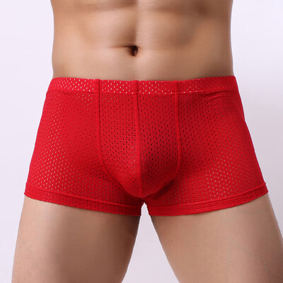 

Mens Sexy Boxer Briefs Breathable Shorts Underwear Trunks Lingerie Underpants