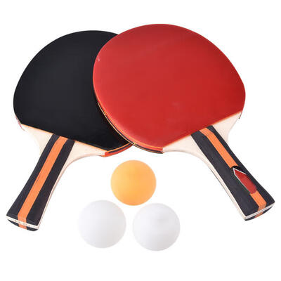 

Greensen 2pcs Professional Training Table Bat Tennis Portable Ping Pong Racket Set with Bag & 3 Balls