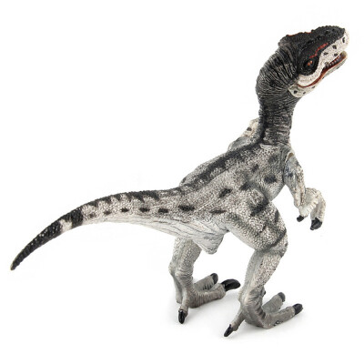 

Tailored Educational Simulated Dinosaur Model Kids Children Toy Dinosaur Gift