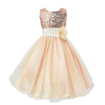 

Flower Girl Dress Lace Solid Baby Princess Pageant Party Bridesmaid Dresses