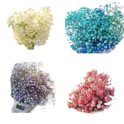 

30pcs Per Bag Babysbreath Flower Seeds Potted Bonsai Floral Plants Seeds Home Garden Decoration