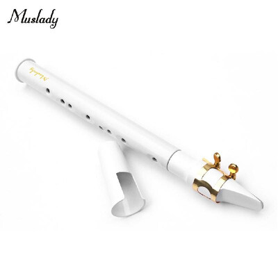 

Muslady Black Mini Pocket Saxophone Portable Little Sax with Black Carrying Bag Woodwind Instrument