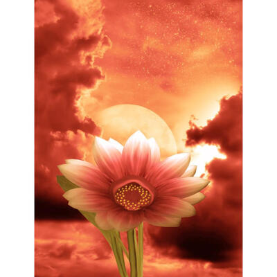 

5D DIY Full Drill Diamond Painting Lotus Sunset Cross Stitch Embroidery