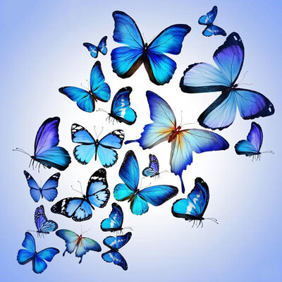 

Diamond Embroidery Diamond Painting Butterfly Full Square&Round DIY Diamond Mosaic Animal Picture Of Rhinestone