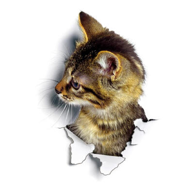 

3D Cute Cat PVC Waterproof Self-Adhesive Wall Stickers DIY Removable Decals