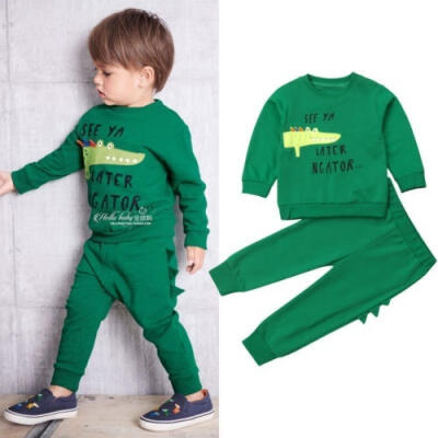 

Newborn Baby Boy Cartoon Clothes Tops SweaterPants Leggings Outfit