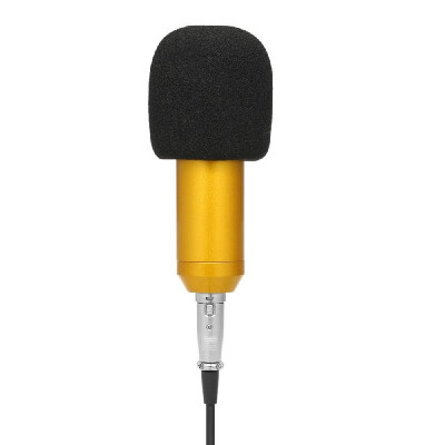 

BM800 Wired Condenser Microphone Studio Sound Professional Recording Device Live Broadcasting Mic with Shock Mount Sponge Protecto