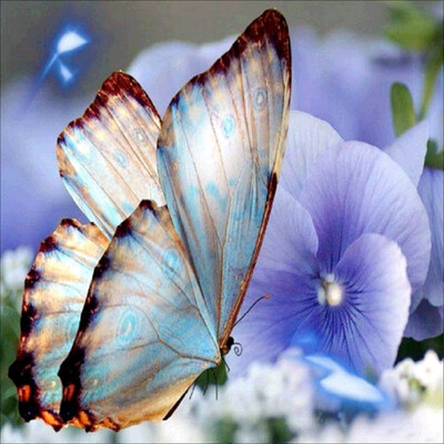 

Toponeto 5D Embroidery Paintings Rhinestone Pasted DIY Diamond Painting Cross Sti