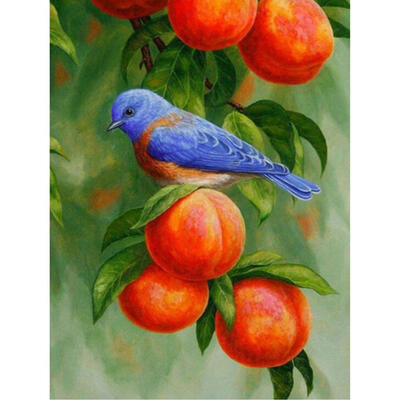 

5D DIY Full Drill Diamond Painting Bird Cross Stitch Embroidery Mosaic Kit
