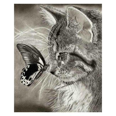 

DIY Diamond Painting Sets Different Shape Diamond Drawing Cross Stitch Wall Decorative Color Cat 30x25cm