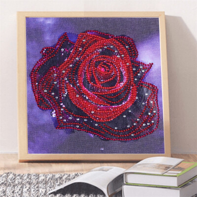 

Gobestart Special Shaped Diamond Painting DIY 5D Partial Drill Cross Stitch Kits Crystal R