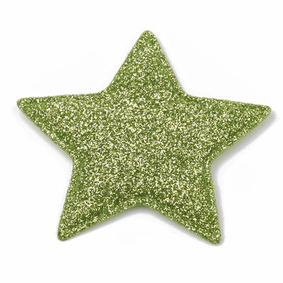 

Glitter PU Patches with Non Woven Fabric Back&Sponge Inside Star Green 51x5455x4mm