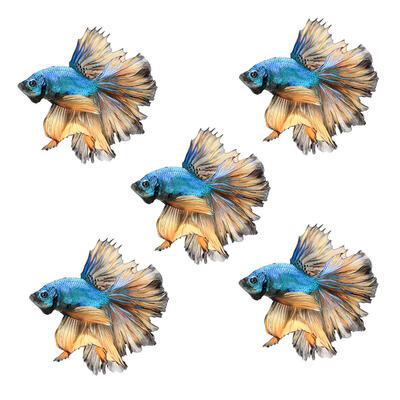 

5pcsset PET Iron-on Clothes Heat Transfer Patches Sticker Garment Decals