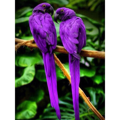 

5D DIY Full Drill Diamond Painting Purple Parrots Cross Stitch Embroidery