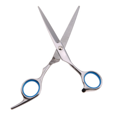 

Professional Pet Dog Stainless Steel Grooming Hair Scissor Straight Scissor