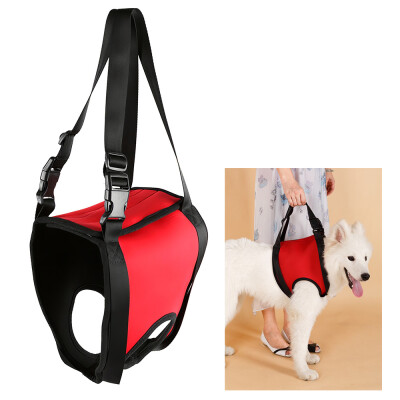 

Dog Lift Harness Front Leg Lifting Canine Aid Assist Sling for Medium Dogs Disabled Injured Elderly Recovery Training