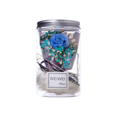 

Clear Case Jar Preserved Fresh Dried Flower LED Night Light Valentine Day Gift