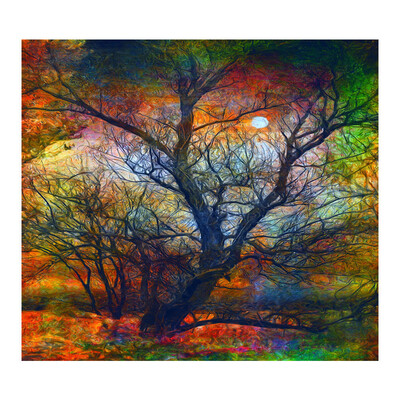 

Toponeto Wall Hanging Tapestry Wall Bedspread Beach Towel Mat Blanket Table