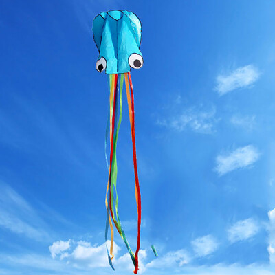 

Siaonvr Large Octopus Long Tail Beach Kites-Perfect Toy for Kids&Adults Outdoor Game