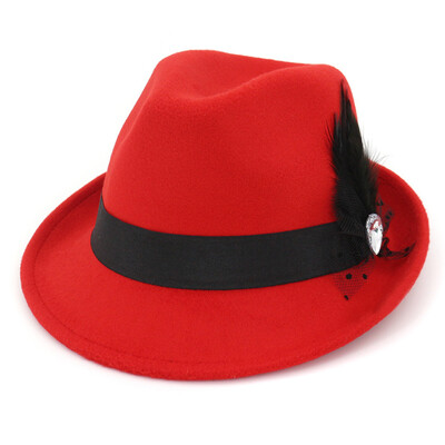

6 Colors Men Hard Felt Feather Trilby Jazz Hat Woolen Pork Pie Hat