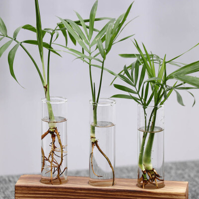 

Gobestart Creative Hydroponic Plant Transparent Vase Wooden Frame Coffee Shop Room Decor