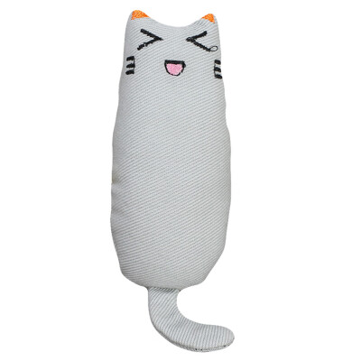 

Cat Interactive Toy Catnip Pillow Filling Catnip Funny Cat Chew Toy