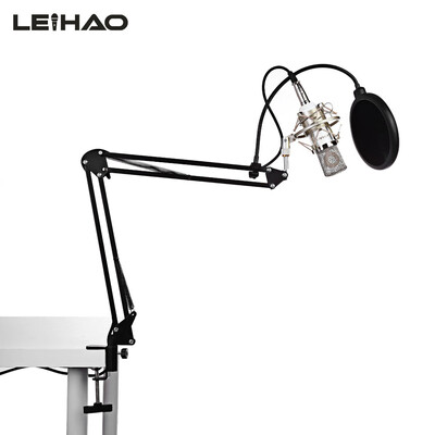 

LEIHAO BM - 700 Professional Condenser Microphone Studio Broadcasting Recording