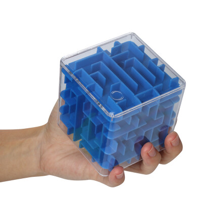 

Tailored Fun Brain Game Challenge Fidget Toys Hand Game Case Box 3D Cube Puzzle Maze Toy