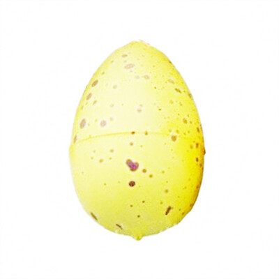 

Growing Dinosaur Eggs Hatching Toys Water Kids Educational Novelty