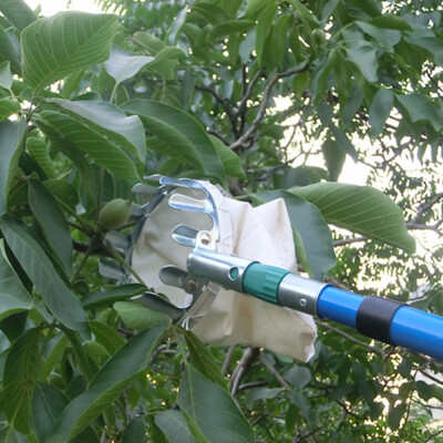 

Metal Fruit Picker Convenient Fabric Orchard Gardening Apple Peach High Tree Picking Tools