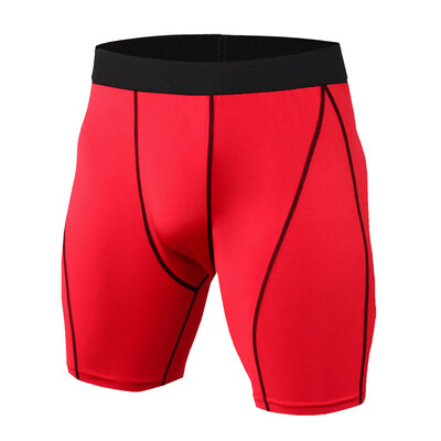 

Tailored Mens Sports Training Bodybuilding Summer Short Workout Fitness Short Pants
