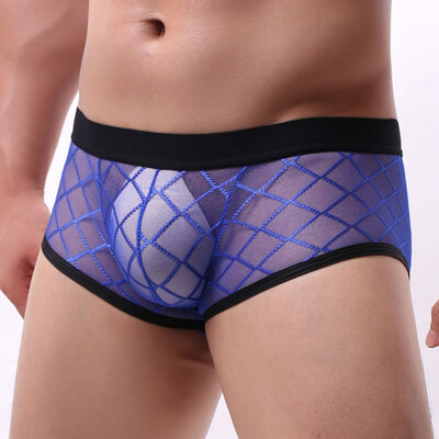 

Mens Sexy Transparent Boxer Shorts Briefs Underwear Low Waist Underpants Trunks